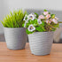 Plastic Plant Pot with Wave Design 18cm Grey - Set of 2